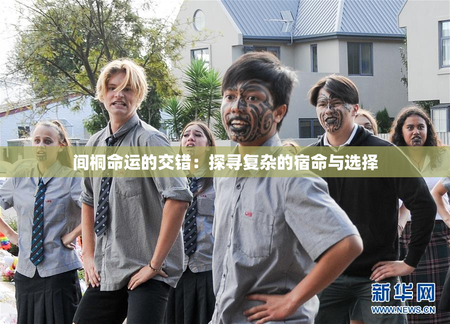 间桐命运的交错：探寻复杂的宿命与选择
