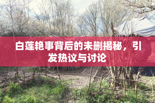 白莲艳事背后的未删揭秘，引发热议与讨论