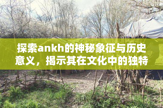 探索ankh的神秘象征与历史意义，揭示其在文化中的独特地位。