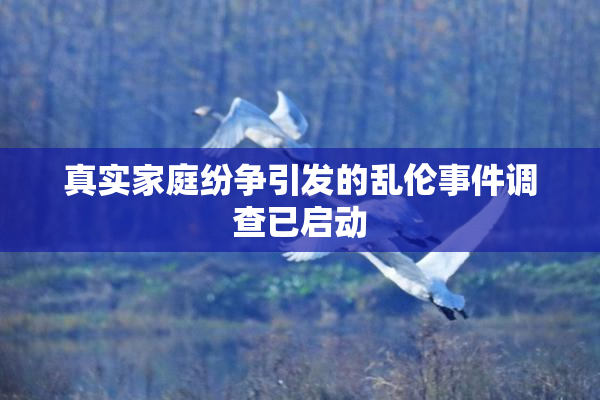 真实家庭纷争引发的乱伦事件调查已启动