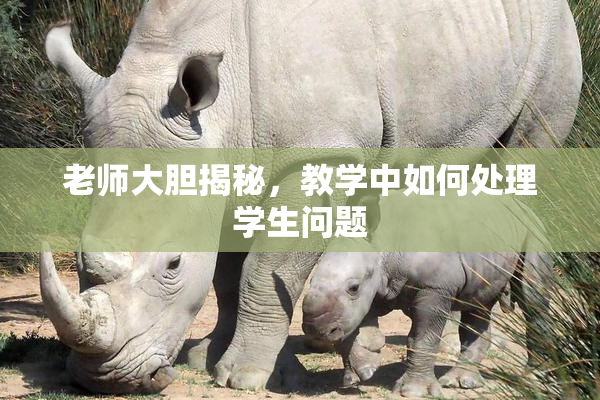 老师大胆揭秘，教学中如何处理学生问题