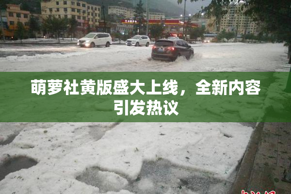 萌萝社黄版盛大上线，全新内容引发热议