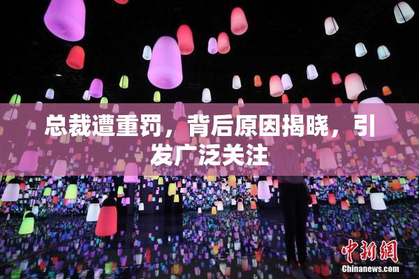 总裁遭重罚，背后原因揭晓，引发广泛关注