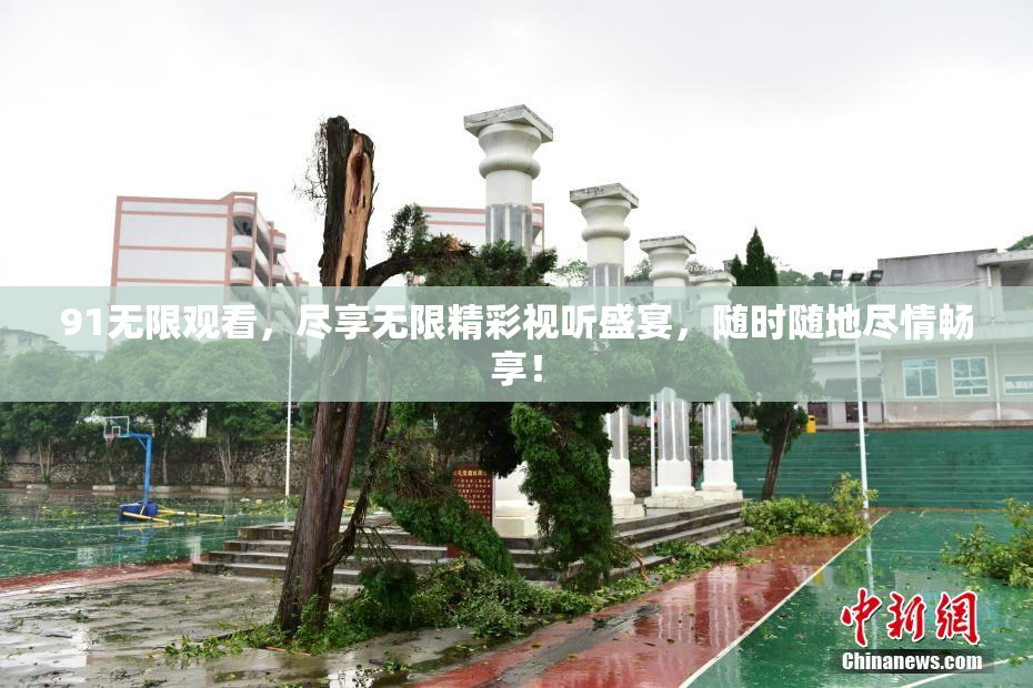 91无限观看，尽享无限精彩视听盛宴，随时随地尽情畅享！