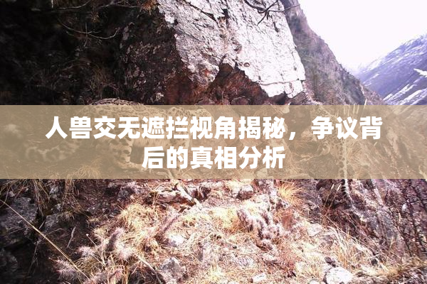 人兽交无遮拦视角揭秘，争议背后的真相分析