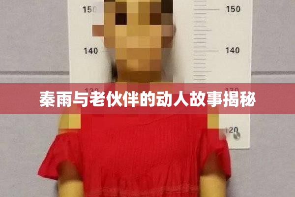秦雨与老伙伴的动人故事揭秘