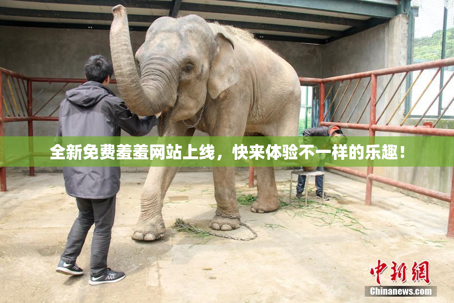 全新免费羞羞网站上线，快来体验不一样的乐趣！