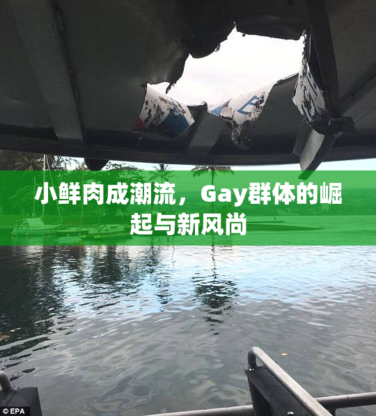 小鲜肉成潮流，Gay群体的崛起与新风尚
