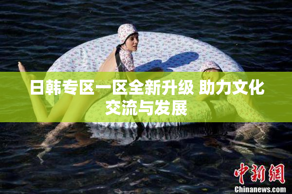 日韩专区一区全新升级 助力文化交流与发展