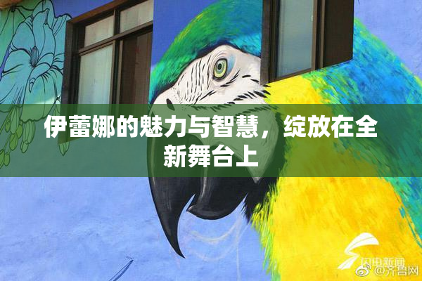 伊蕾娜的魅力与智慧，绽放在全新舞台上