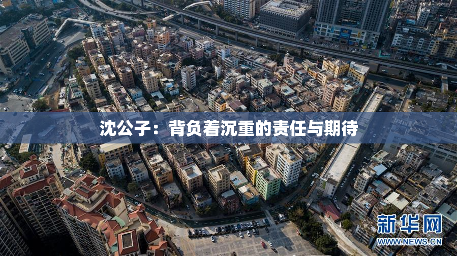 沈公子：背负着沉重的责任与期待