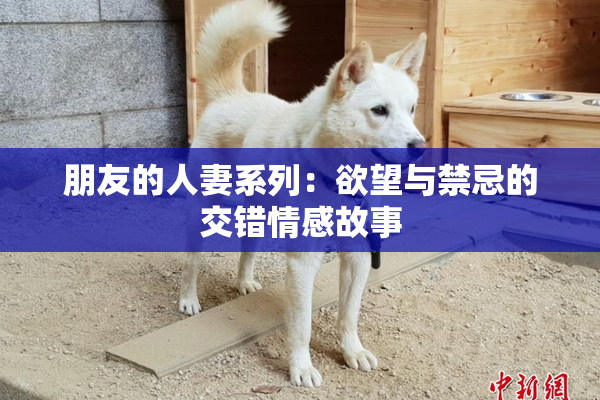 朋友的人妻系列：欲望与禁忌的交错情感故事