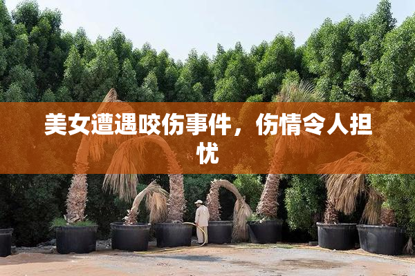 美女遭遇咬伤事件，伤情令人担忧