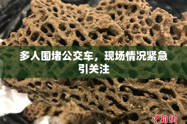 多人围堵公交车，现场情况紧急引关注