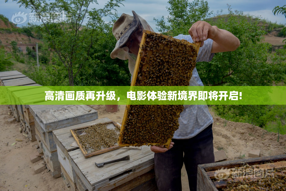 高清画质再升级，电影体验新境界即将开启!