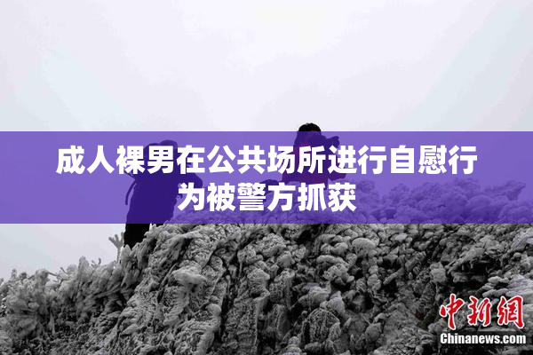 成人裸男在公共场所进行自慰行为被警方抓获