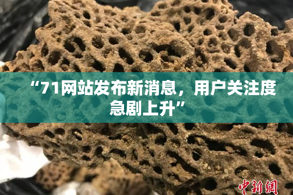 “71网站发布新消息，用户关注度急剧上升”