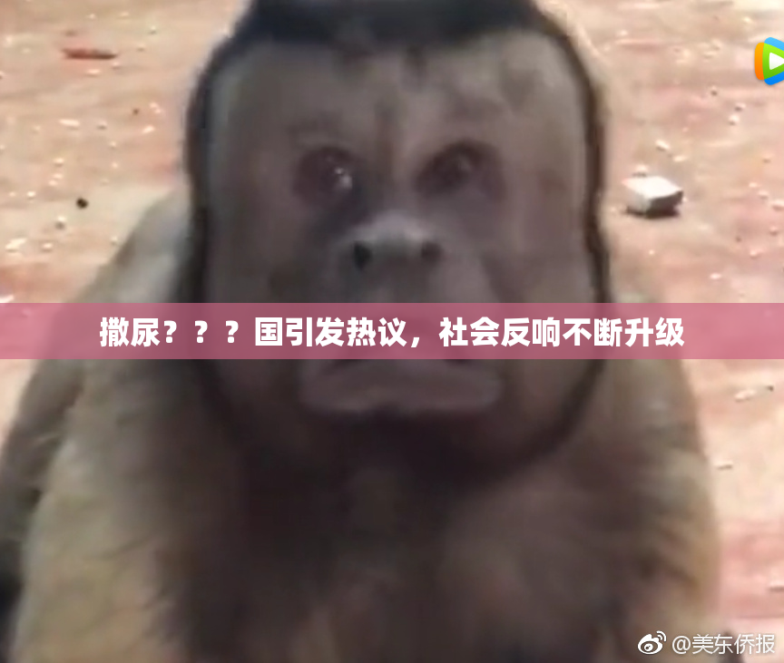 撒尿？？？国引发热议，社会反响不断升级