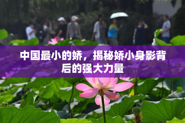 中国最小的娇，揭秘娇小身影背后的强大力量