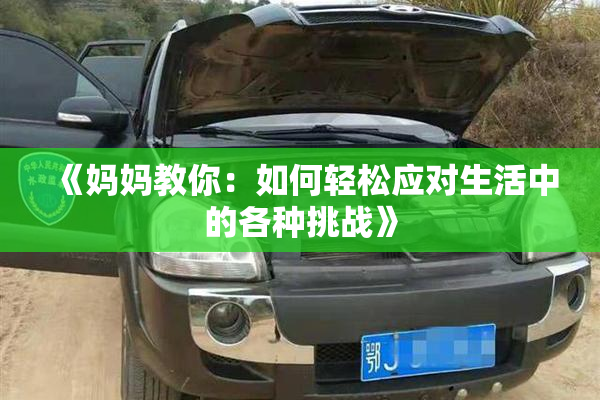 《妈妈教你：如何轻松应对生活中的各种挑战》