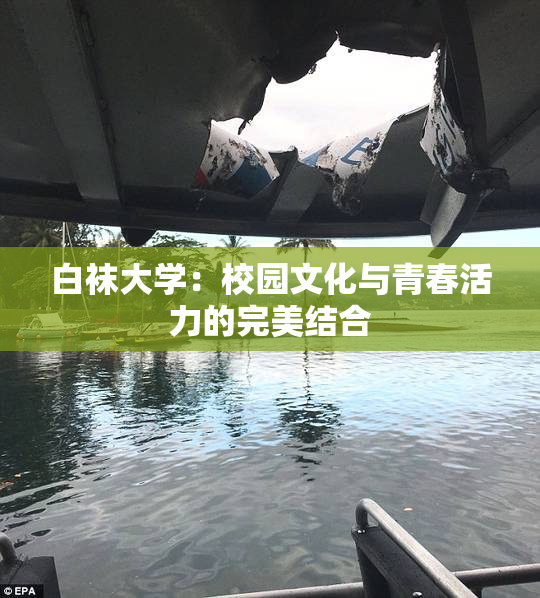 白袜大学：校园文化与青春活力的完美结合