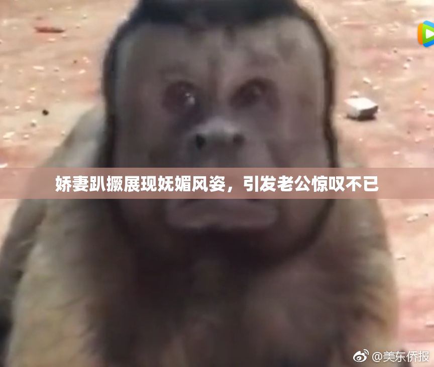 娇妻趴撅展现妩媚风姿，引发老公惊叹不已