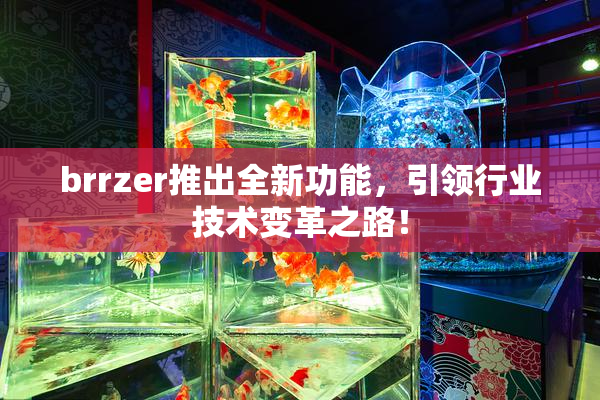brrzer推出全新功能，引领行业技术变革之路！