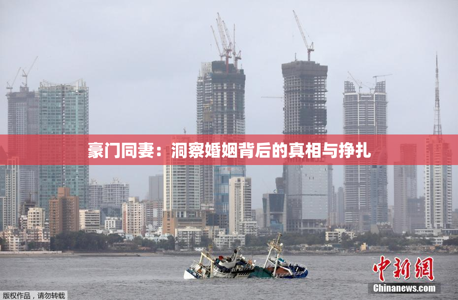 豪门同妻：洞察婚姻背后的真相与挣扎