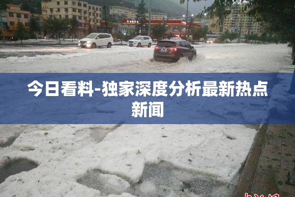 今日看料-独家深度分析最新热点新闻