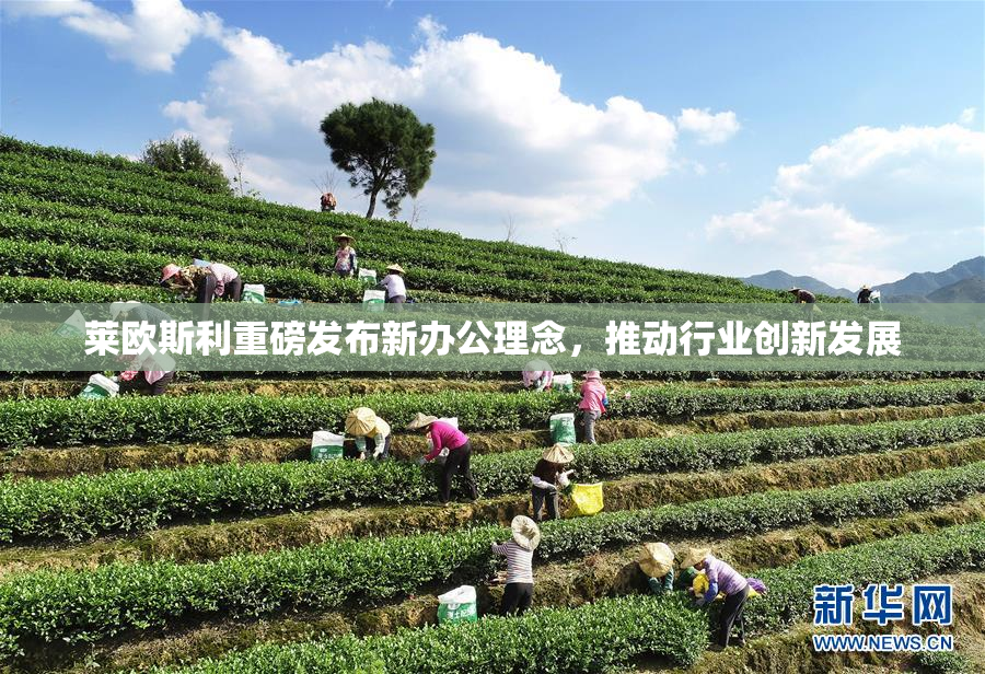 莱欧斯利重磅发布新办公理念，推动行业创新发展