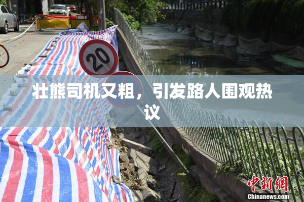 壮熊司机又粗，引发路人围观热议
