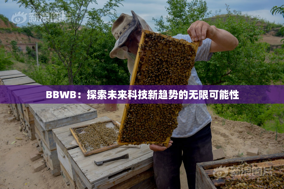 BBWB：探索未来科技新趋势的无限可能性