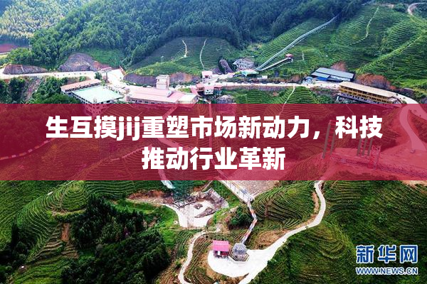 生互摸jij重塑市场新动力，科技推动行业革新