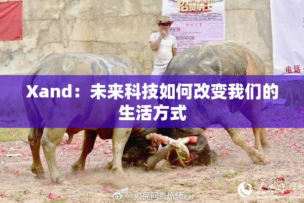Xand：未来科技如何改变我们的生活方式