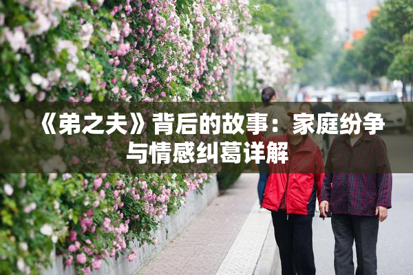 《弟之夫》背后的故事：家庭纷争与情感纠葛详解
