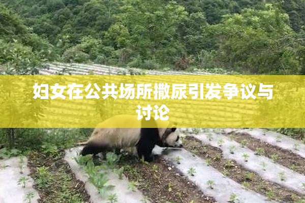 妇女在公共场所撒尿引发争议与讨论