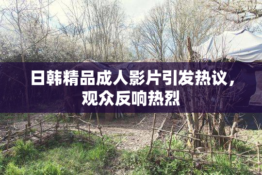 日韩精品成人影片引发热议，观众反响热烈