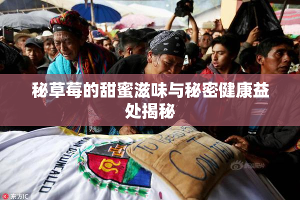 秘草莓的甜蜜滋味与秘密健康益处揭秘