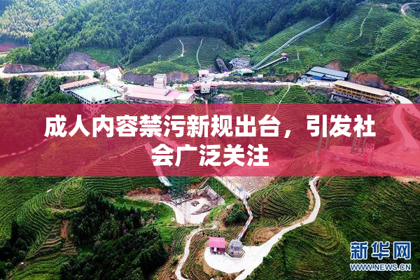 成人内容禁污新规出台，引发社会广泛关注