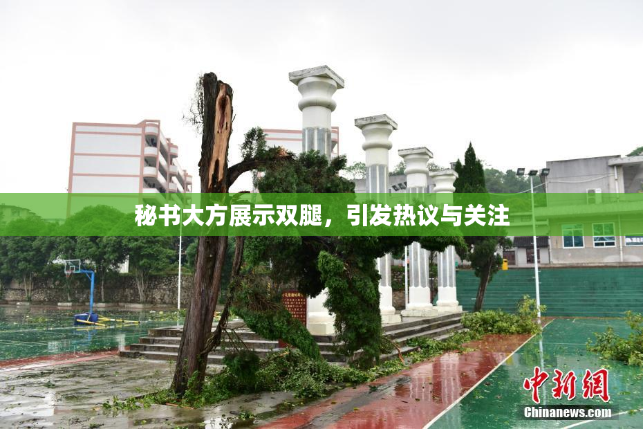 秘书大方展示双腿，引发热议与关注