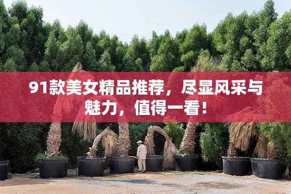 91款美女精品推荐，尽显风采与魅力，值得一看！