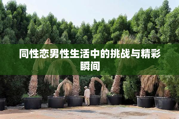 同性恋男性生活中的挑战与精彩瞬间