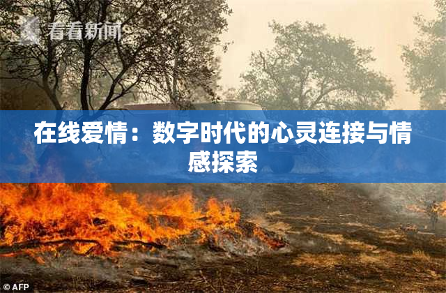 在线爱情：数字时代的心灵连接与情感探索