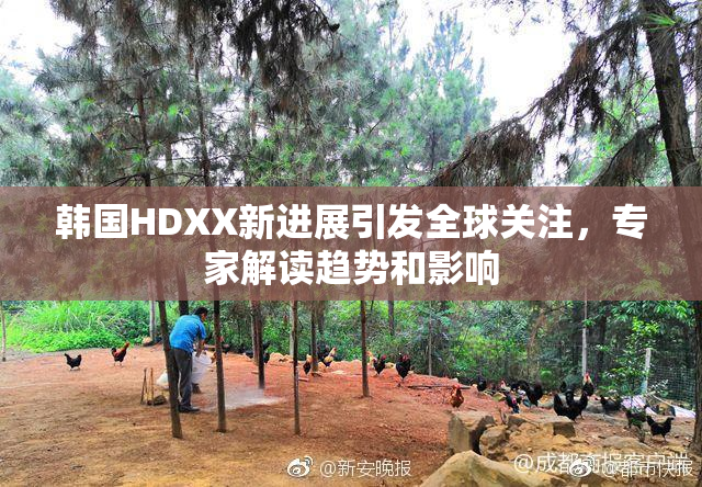 韩国HDXX新进展引发全球关注，专家解读趋势和影响