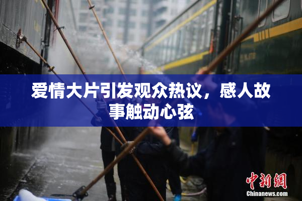 爱情大片引发观众热议，感人故事触动心弦