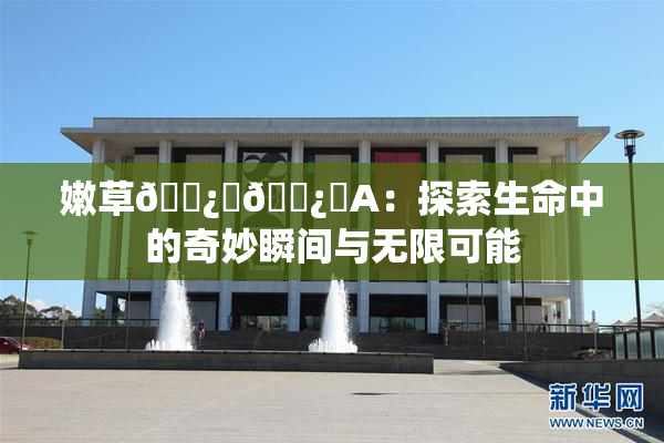 嫩草🌿‌🌿‌A：探索生命中的奇妙瞬间与无限可能