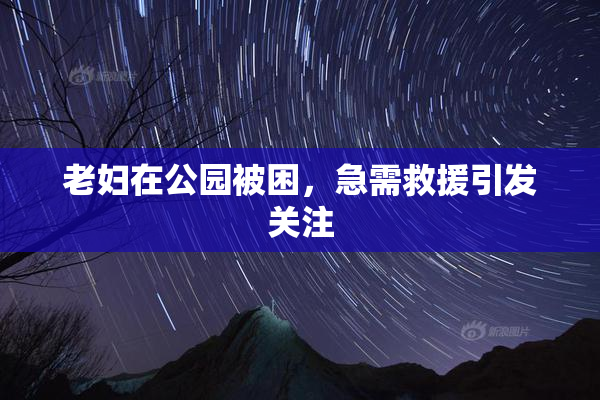 老妇在公园被困，急需救援引发关注