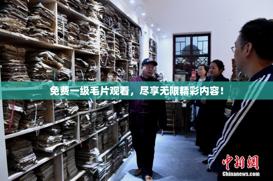 免费一级毛片观看，尽享无限精彩内容！