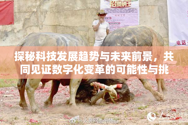 探秘科技发展趋势与未来前景，共同见证数字化变革的可能性与挑战。