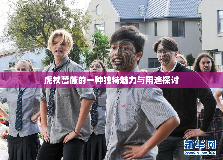 虎杖蔷薇的一种独特魅力与用途探讨
